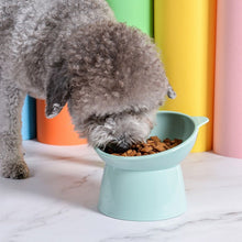 Load image into Gallery viewer, Elevated Cute Dog & Cat Bowl