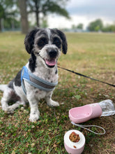 Load image into Gallery viewer, Portable Dog Water Bottle
