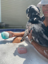 Load image into Gallery viewer, Adorable Puppy Shower Brush